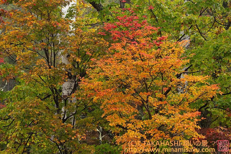 ../Images/7R251026 (128).jpg